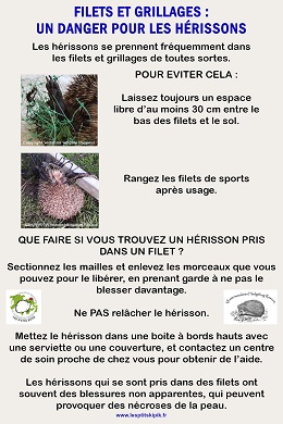 Filets et grillages un danger pour les herissons